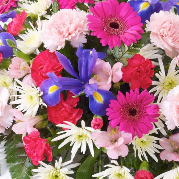 Carnation and Germini Teardrop Spray Flowers Studio